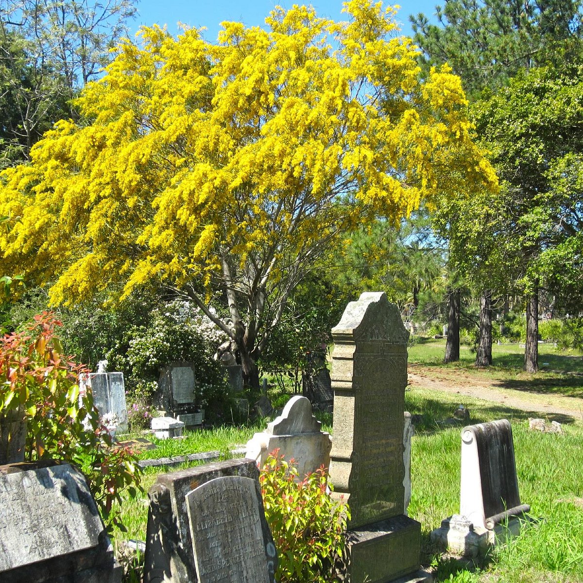 Rookwood Cemetery - 리드컴 - Rookwood Cemetery의 리뷰 - 트립어드바이저