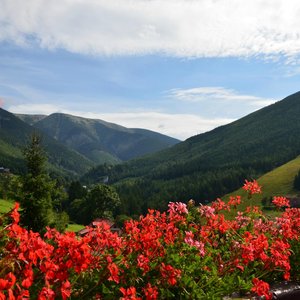 Hotel Olympie in Spindleruv Mlyn, image may contain: Resort, Hotel, Villa, Backyard