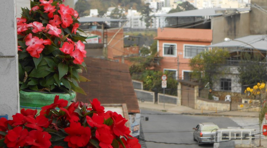 flores na sacada dos aptos da frente