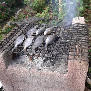 Patio de la casa