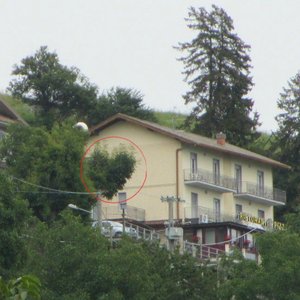 con la naturale gestione familiare, anche gli alberi esprimono amore