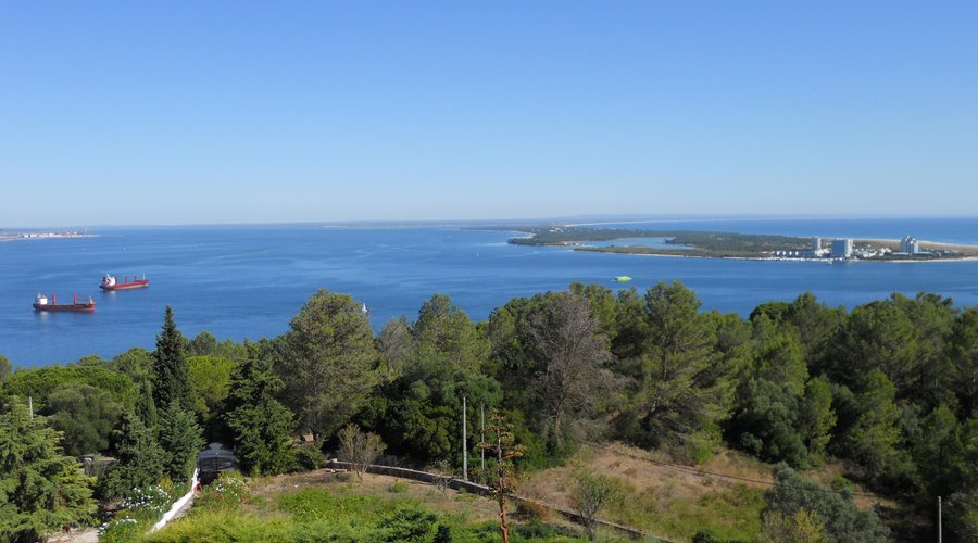 Las vistas