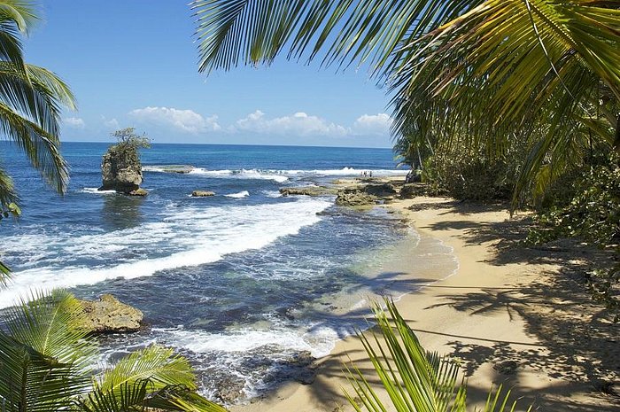Posibilidades proteccion Endulzar CASA MOABI (Playa Chiquita, Costa Rica): opiniones y precios