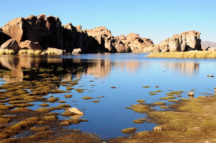 Laguna Negra, Potosi - Bolívia.