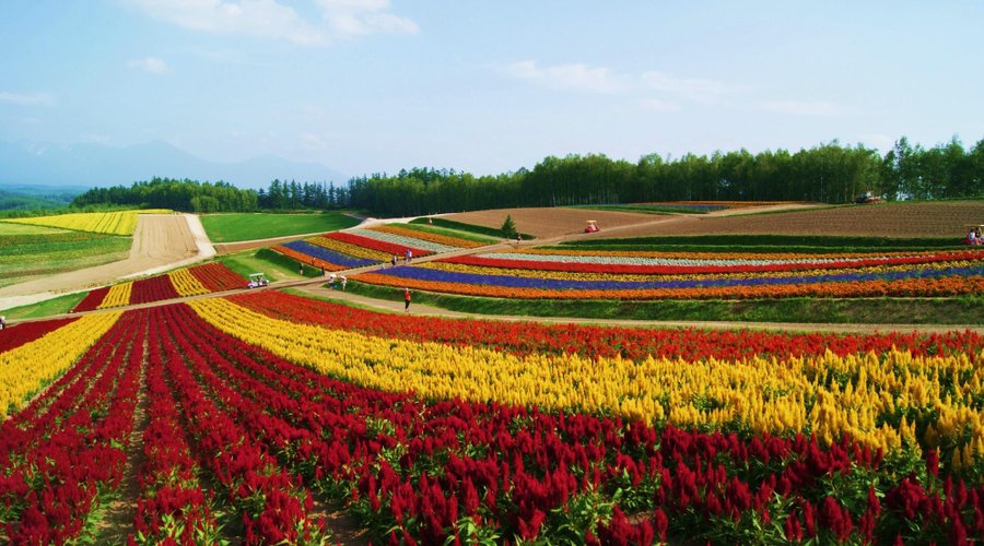Shikisei No Oka, Furano