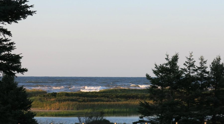 The view from our cottage