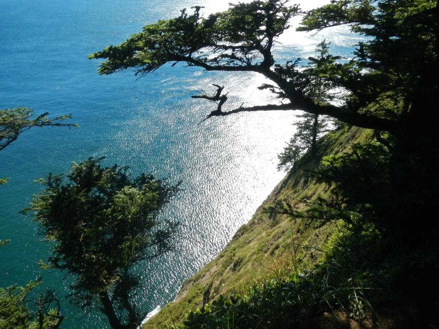 Cape lookout state park hike best sale