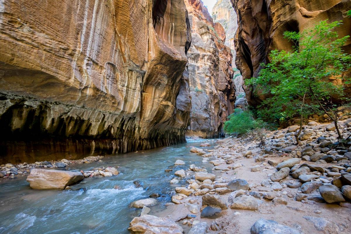 Zion narrows outlet day hike