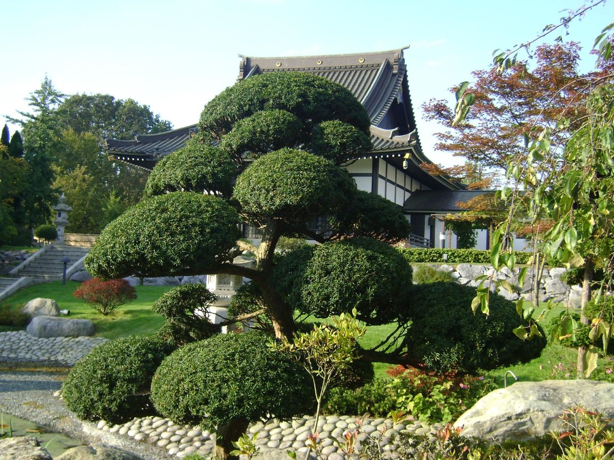 EKO-Haus der Japanischen Kultur e.V., Дюссельдорф - Tripadvisor