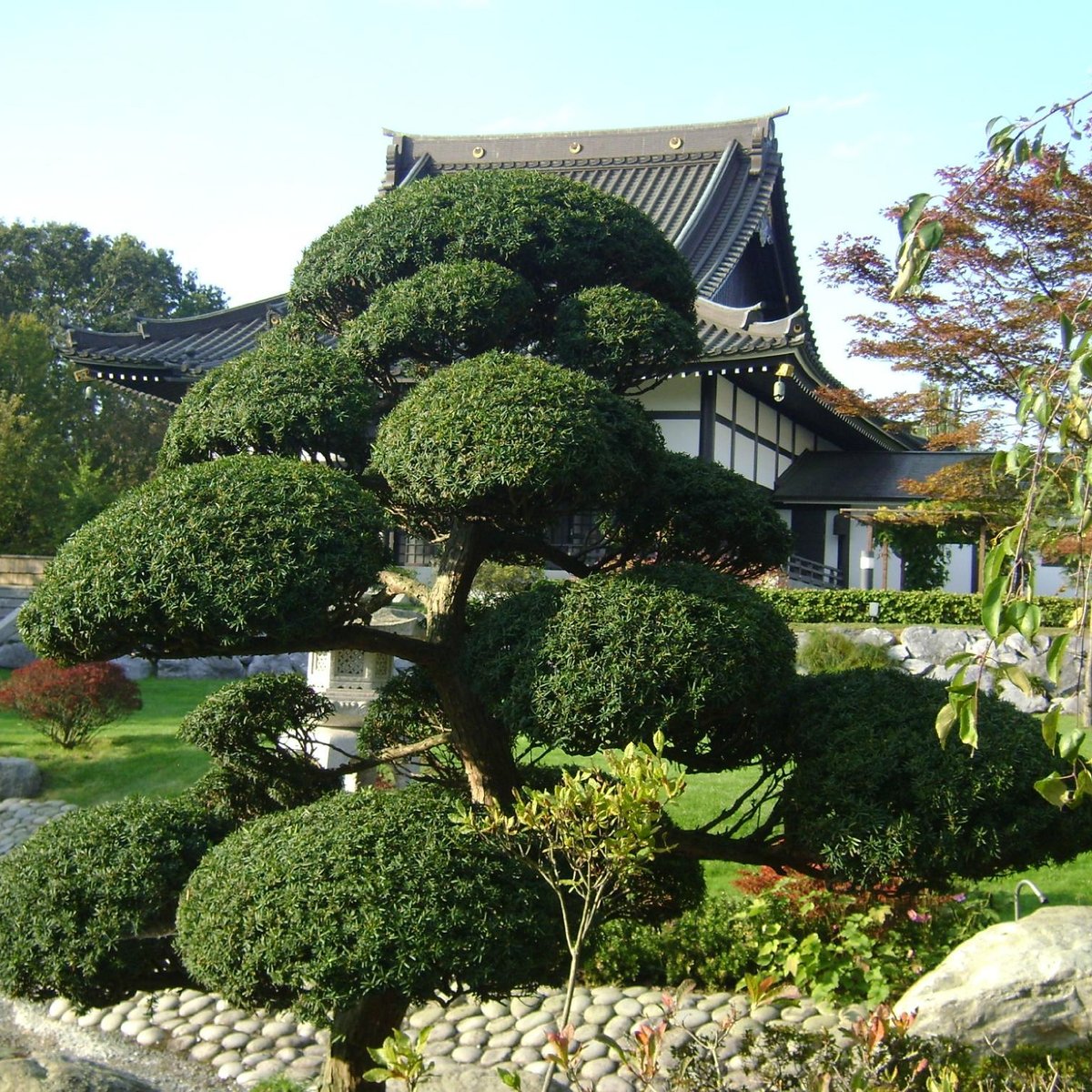 EKO-Haus der Japanischen Kultur e.V., Дюссельдорф - Tripadvisor