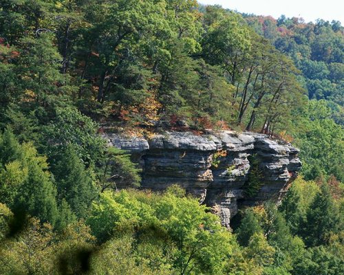 are dogs allowed at hocking hills