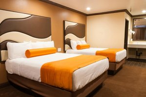 Room & Suite