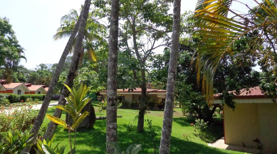 Norma's Villas 2014