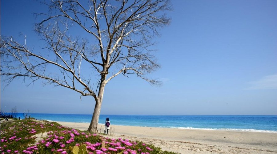 Spiaggia