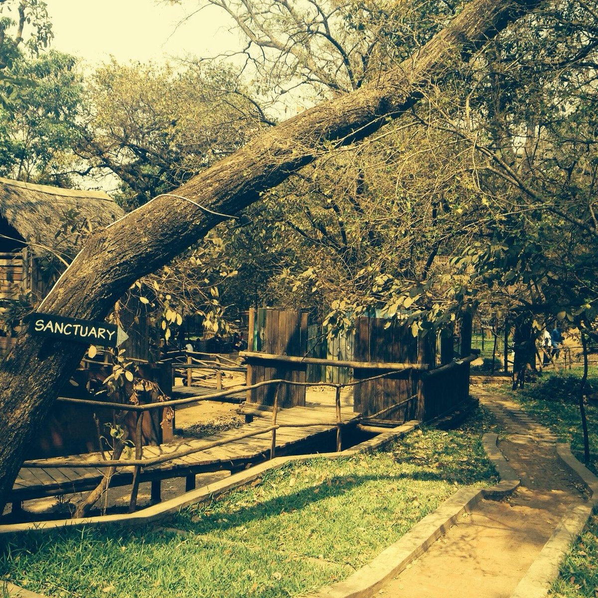 5. Nature's Sanctuary