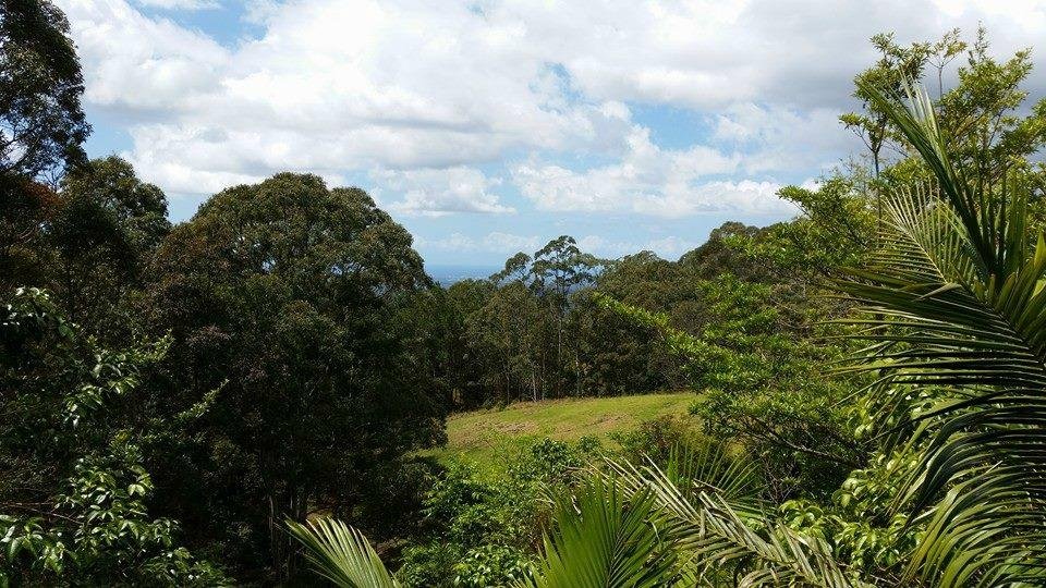 MOUNT TAMBORINE SEAVIEW TREEHOUSES - Campground Reviews (Gold Coast ...