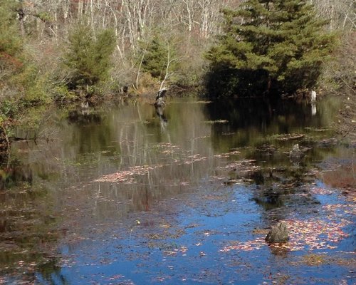 THE 10 BEST Long Island Nature & Wildlife Areas (with Photos) - Tripadvisor