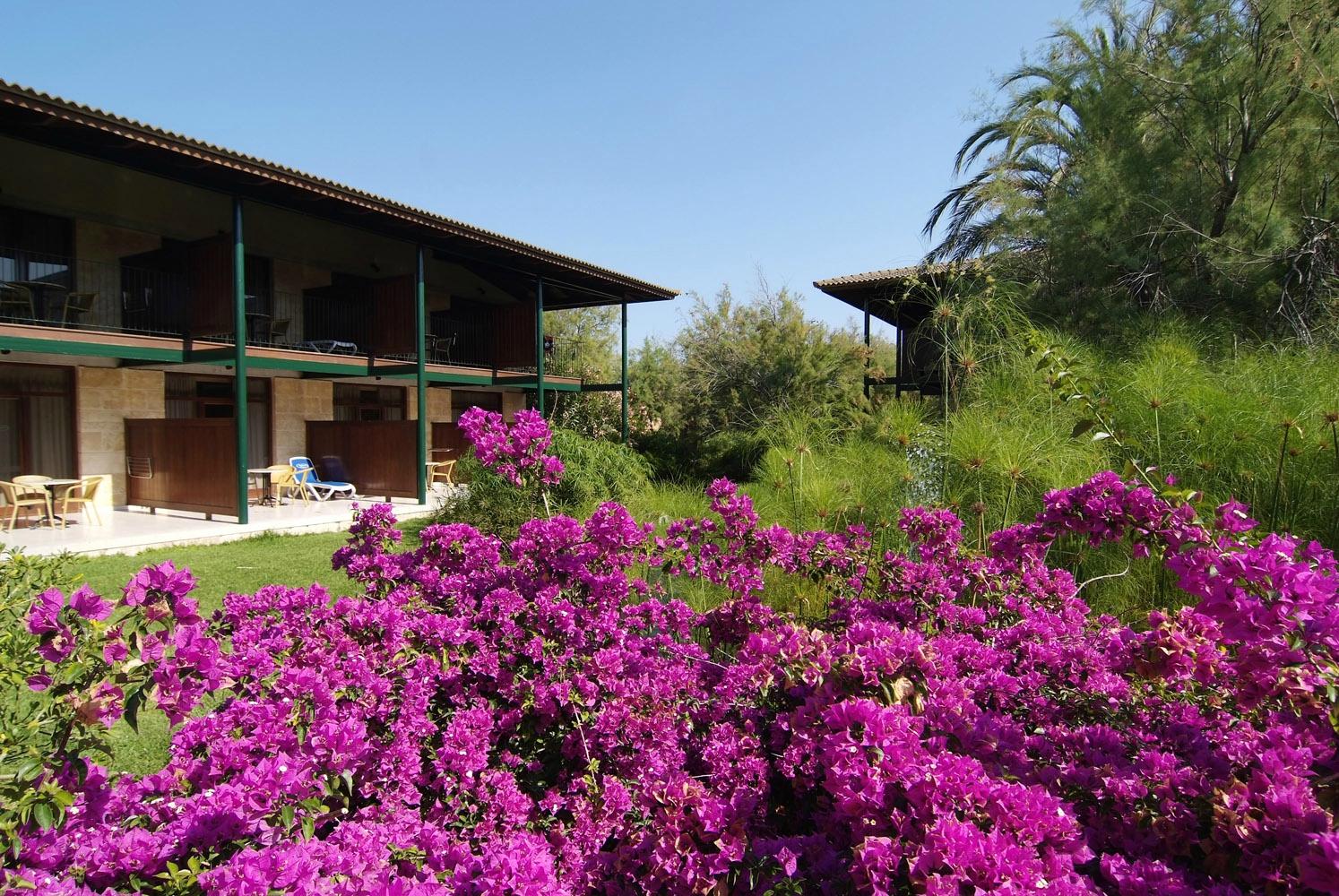 Hotel photo 10 of PortBlue Club Pollentia Resort & Spa.