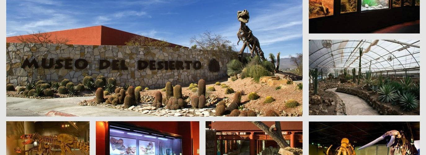 Museo del Desierto