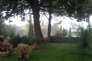Camera e suite