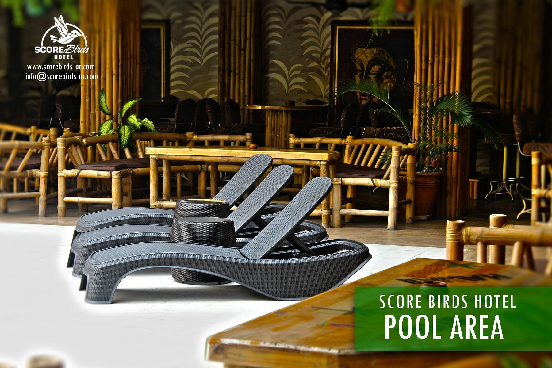 Score Birds Hotel Pool Pictures & Reviews Tripadvisor