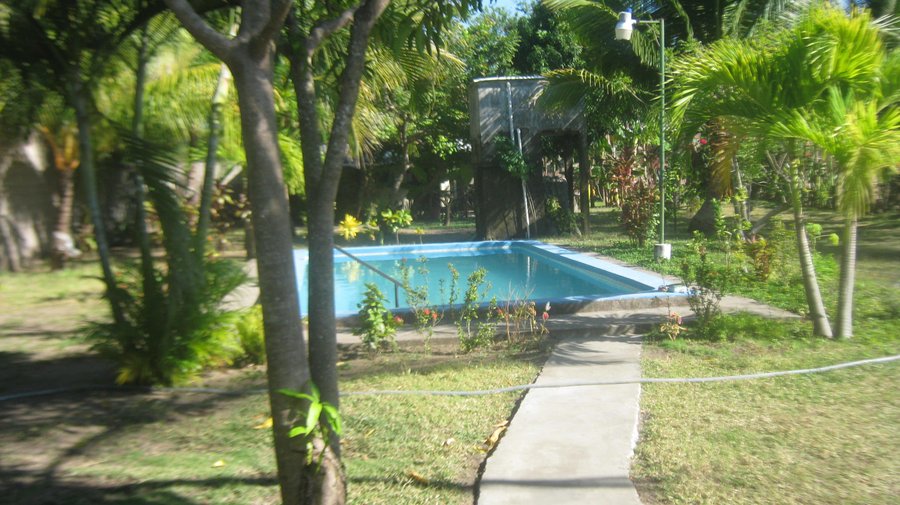 Pool from the ranch house