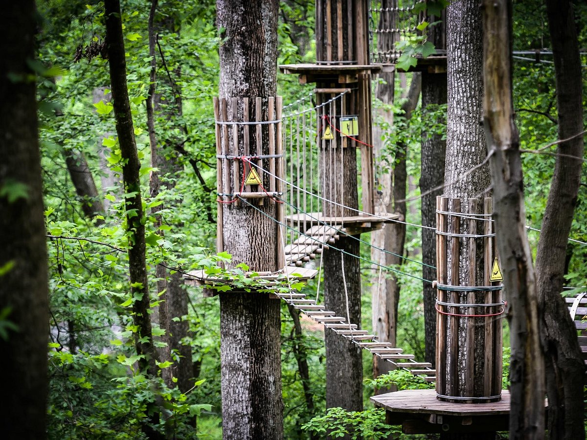 Go Ape Zipline & Adventure Park (Rockville) ATUALIZADO 2023 O que Go Ape Zipline & Adventure Park (Rockville) ATUALIZADO 2023 O que
