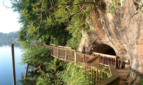 Take a stroll along the Boardwalk trail at Ijams