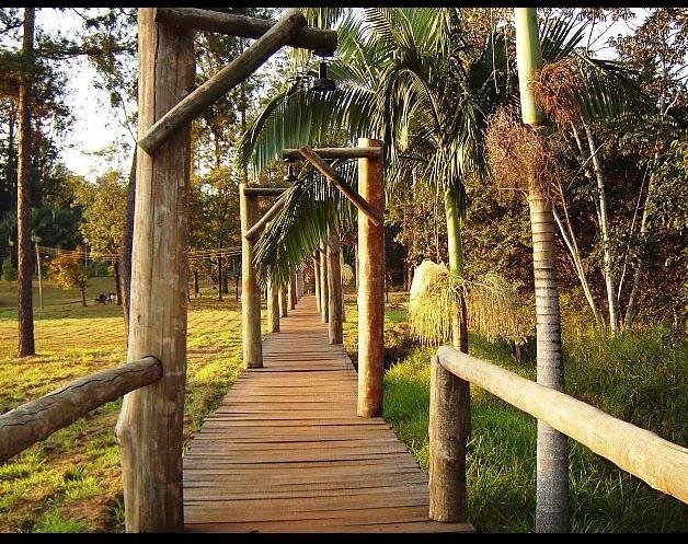 Lançamentos Horto Florestal