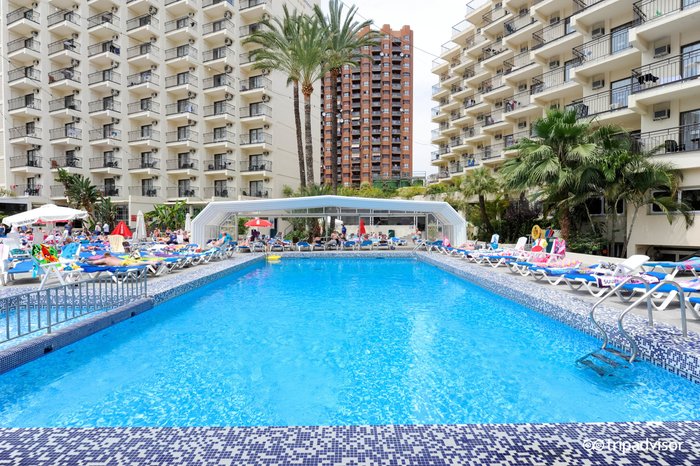 Hotel Ambassador Playa 1 Pool: Pictures & Reviews - Tripadvisor