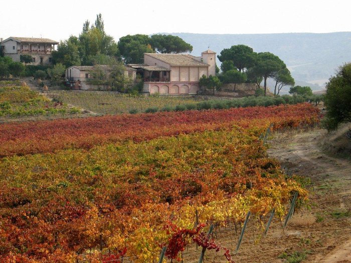 Imagen 2 de Bodega Calzadilla