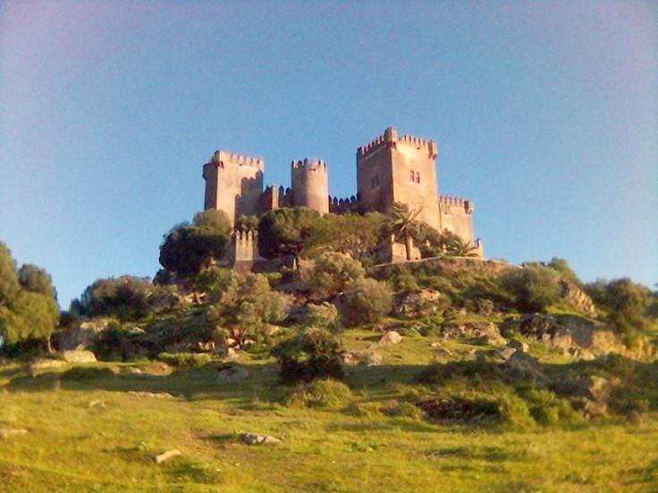 Castillo de Almodovar image