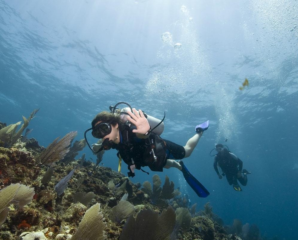 solo buceo dive shop cancun