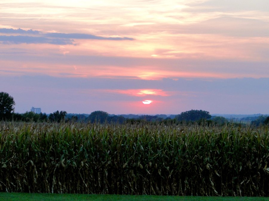 Pine Grove Rv Park Campground Reviews Greenwood Ne Tripadvisor