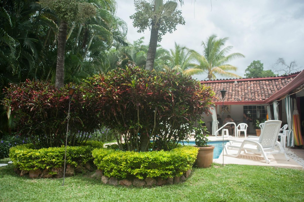 Hotel Villa Botero By Casa Mojito Pool: Pictures & Reviews - Tripadvisor