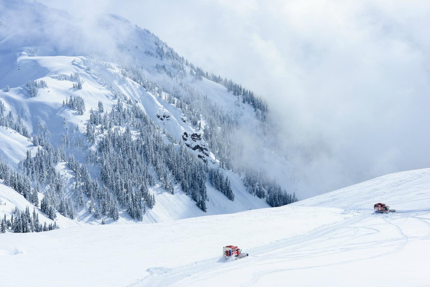 POWDER MOUNTAIN CAT AND HELI SKIING (Whistler) 2022 What to Know BEFORE You Go