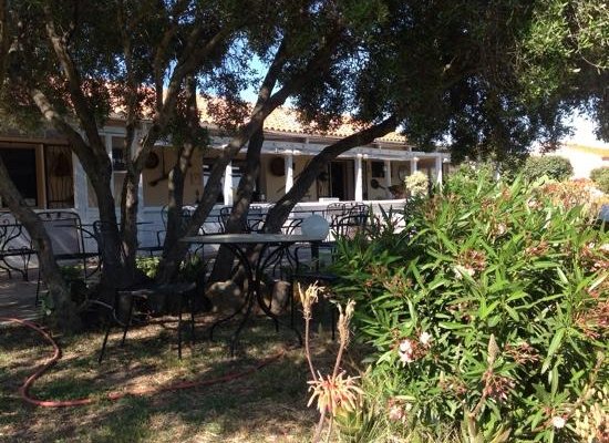 Giardino