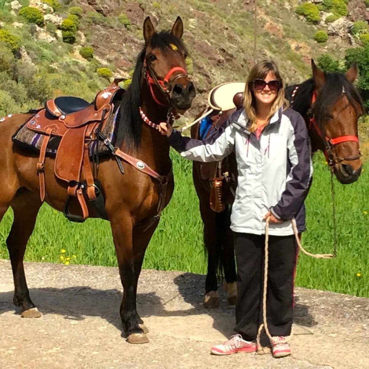 Harriets Hydra Horses, Гидра: лучшие советы перед посещением - Tripadvisor