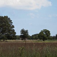 Open space