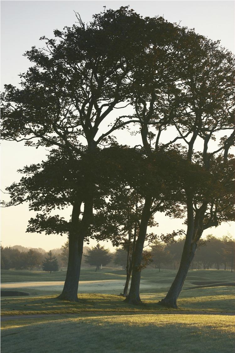 Hotel photo 1 of Formby Hall Golf Resort & Spa.