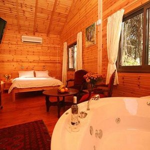 Alon Cabin