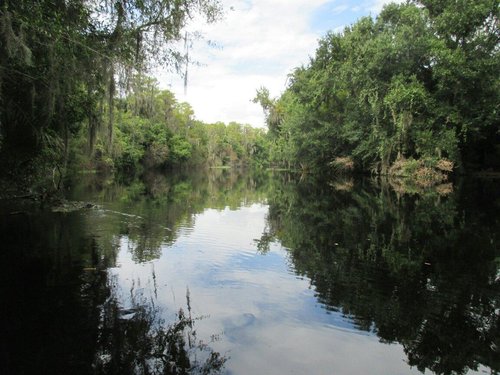 Kissimmee Tourism 2021: Best of Kissimmee, FL - Tripadvisor