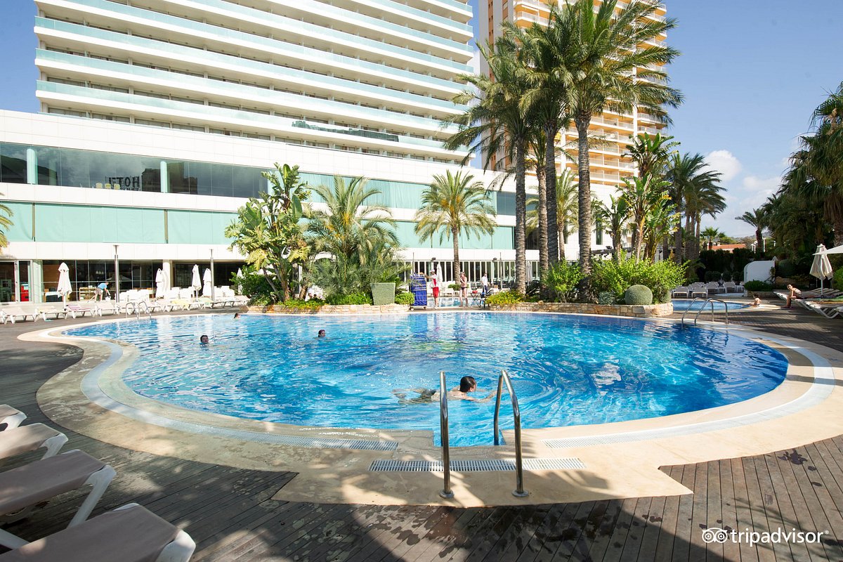 cordura préstamo Comerciante Fotos y opiniones de la piscina del AR Diamante Beach SPA Hotel & Convention  Centre - Tripadvisor