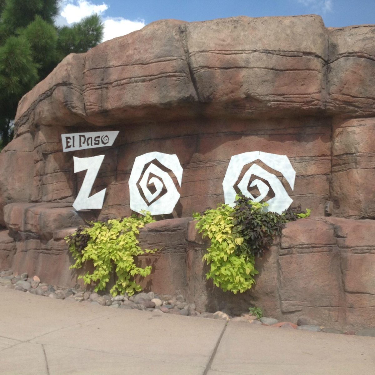 El Paso Zoo - All You Need to Know BEFORE You Go (with Photos)