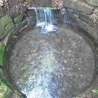 The Spring