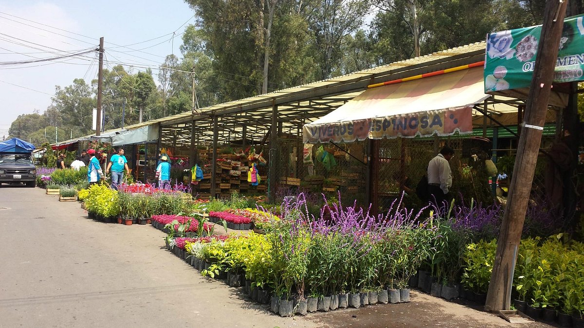 Mercado de Flores (Ciudad de México) - 2023 Lo que se debe saber antes de  viajar - Tripadvisor