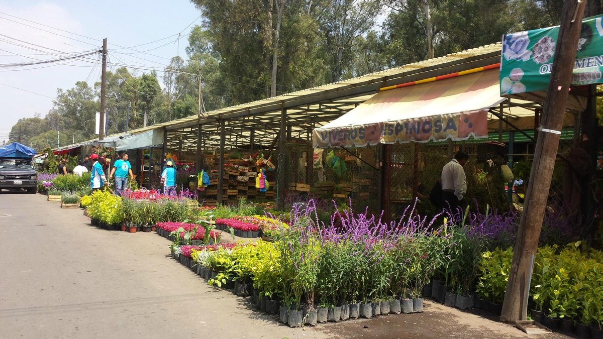 Mercado de Flores (Ciudad de México) - 2023 Lo que se debe saber antes de  viajar - Tripadvisor