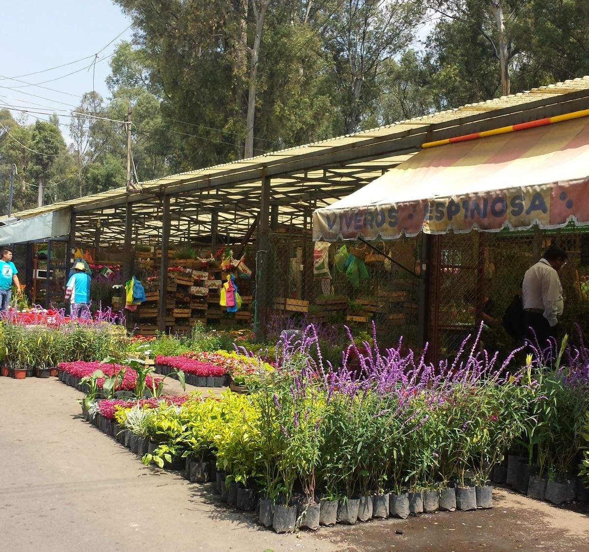 Mercado de Flores (Ciudad de México) - 2023 Lo que se debe saber antes de  viajar - Tripadvisor