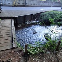 綺麗だね
