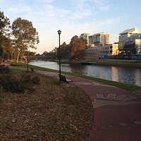 Parramatta Park near the river